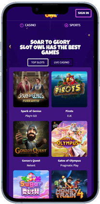 Slot Owl casinospel utan Spelpaus