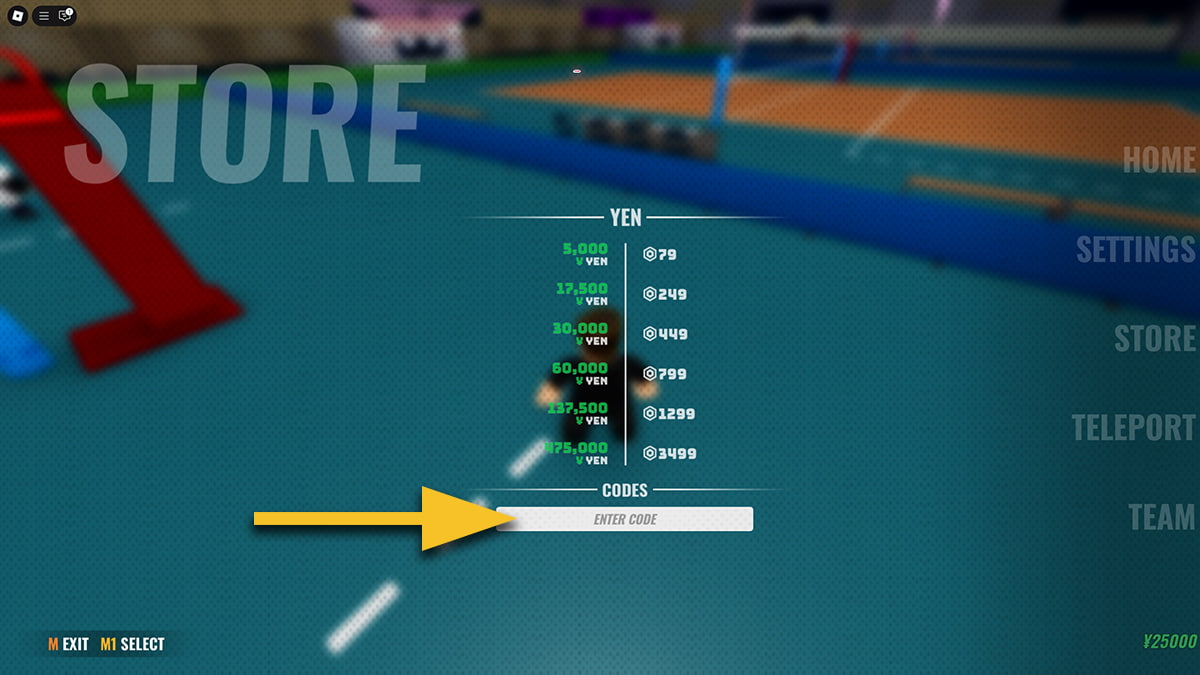 Image of the Store window in Spiked on Roblox, with an arrow pointing at the code input text box.