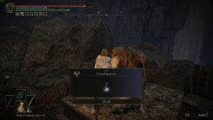 Elden Ring Shadow of the Erdtree revered spirit ash blessing locations: tarnished in the realm of shadow.