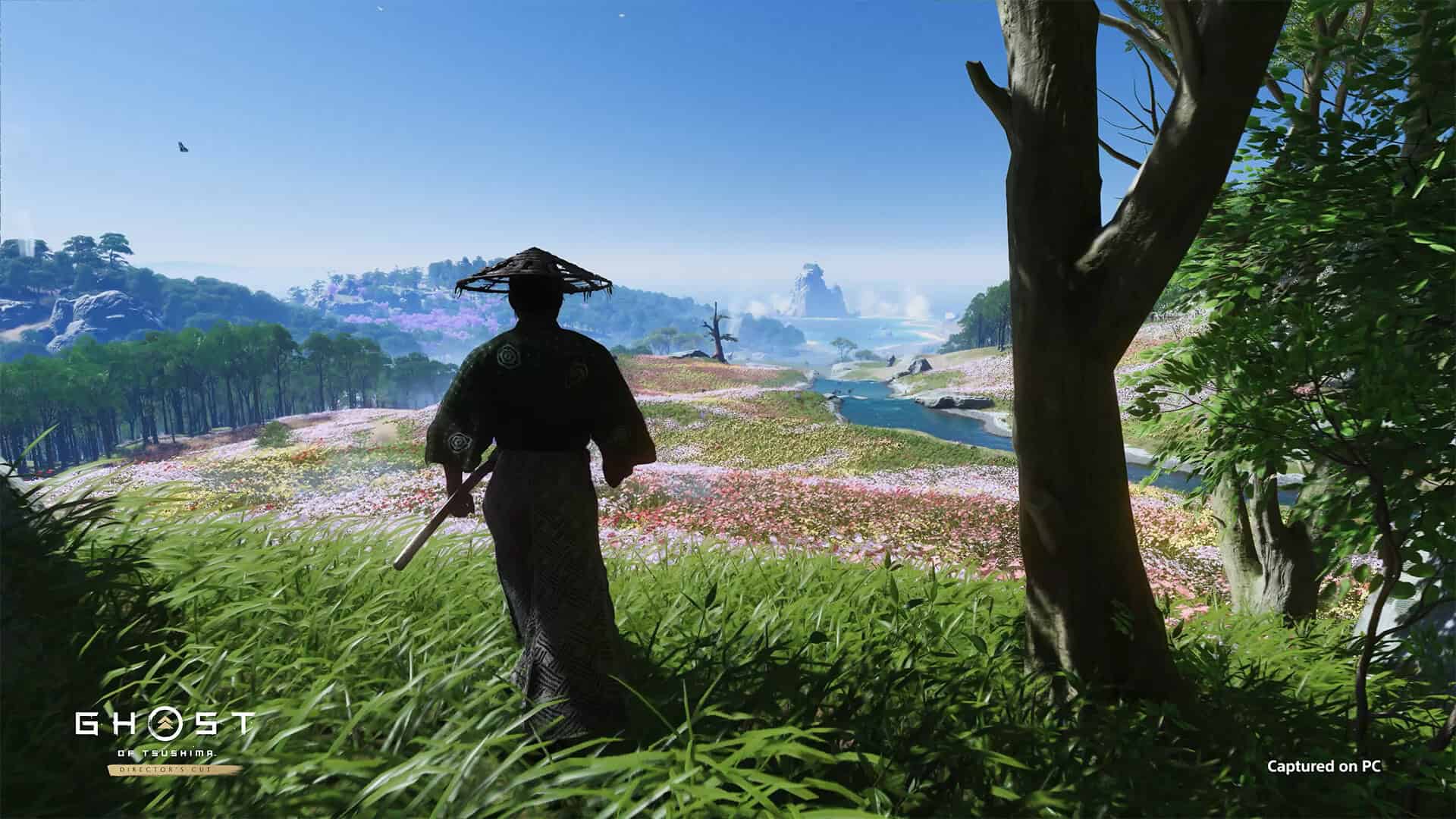 ghost of tsushima pc release date - A samurai stands in a lush meadow overlooking a river