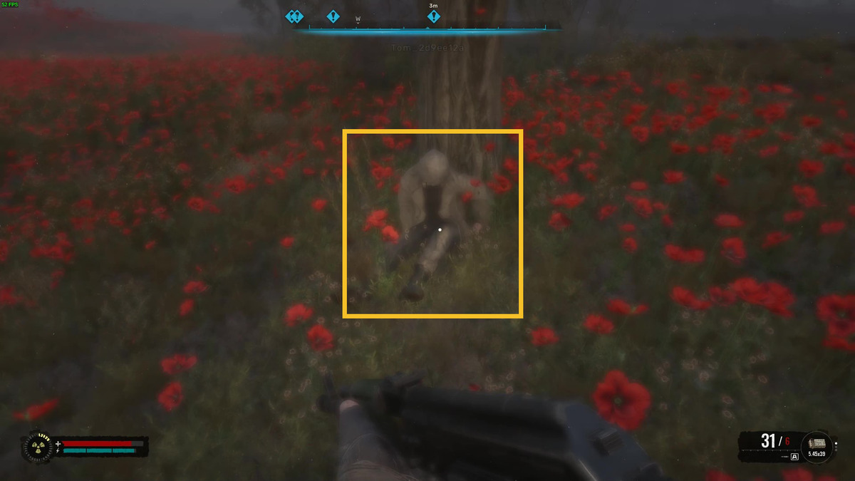 Stalker 2 The Poppy Field walkthrough - should you give the icon to Mityay or Pomor: stalker exploring a poppy field.