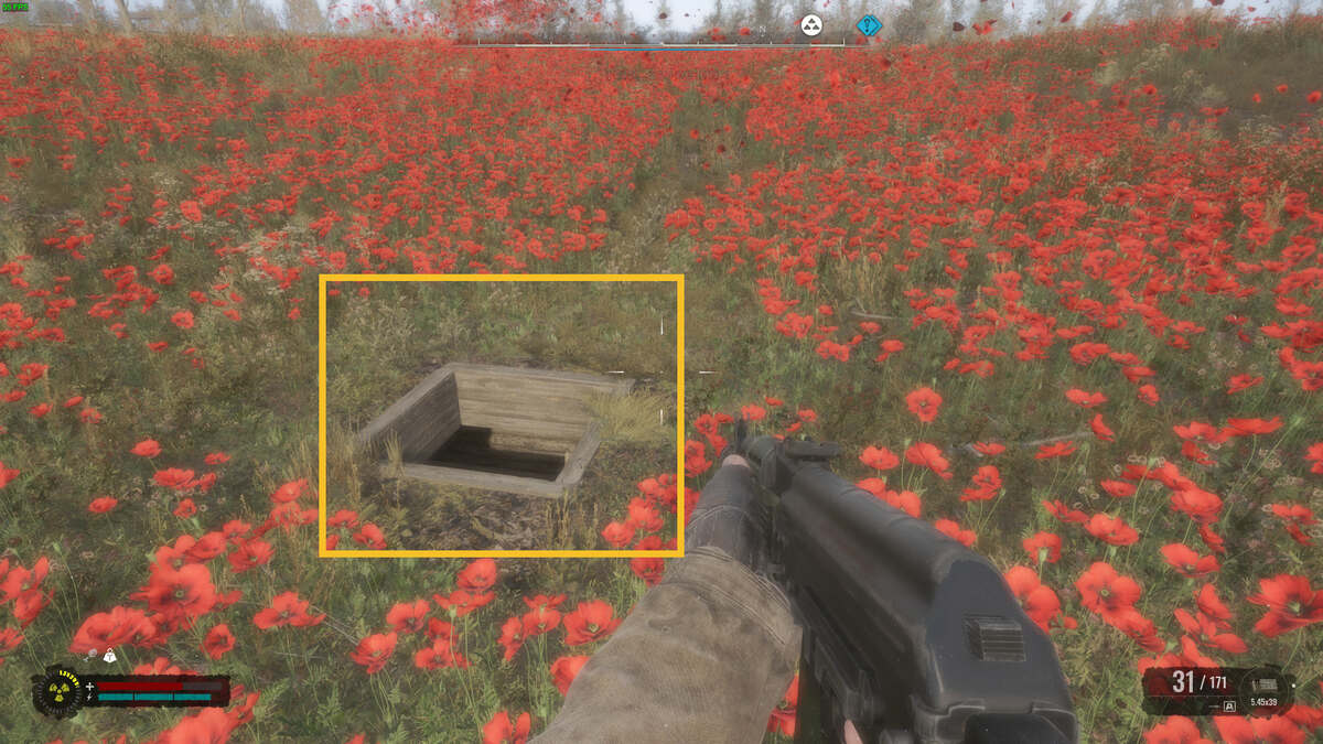 Stalker 2 The Poppy Field walkthrough - should you give the icon to Mityay or Pomor: stalker exploring a poppy field.