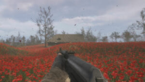 Stalker 2 The Poppy Field walkthrough - should you give the icon to Mityay or Pomor: stalker exploring a poppy field.