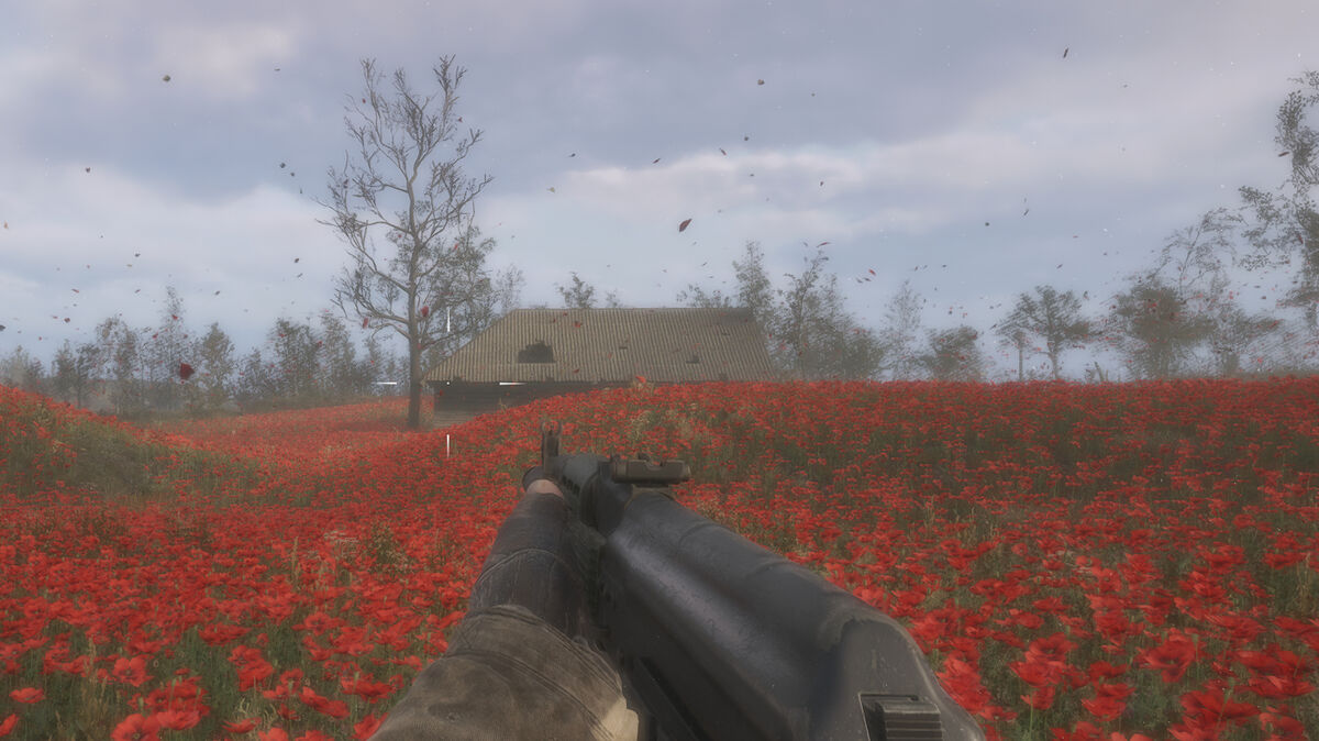 Stalker 2 The Poppy Field walkthrough - should you give the icon to Mityay or Pomor: stalker exploring a poppy field.