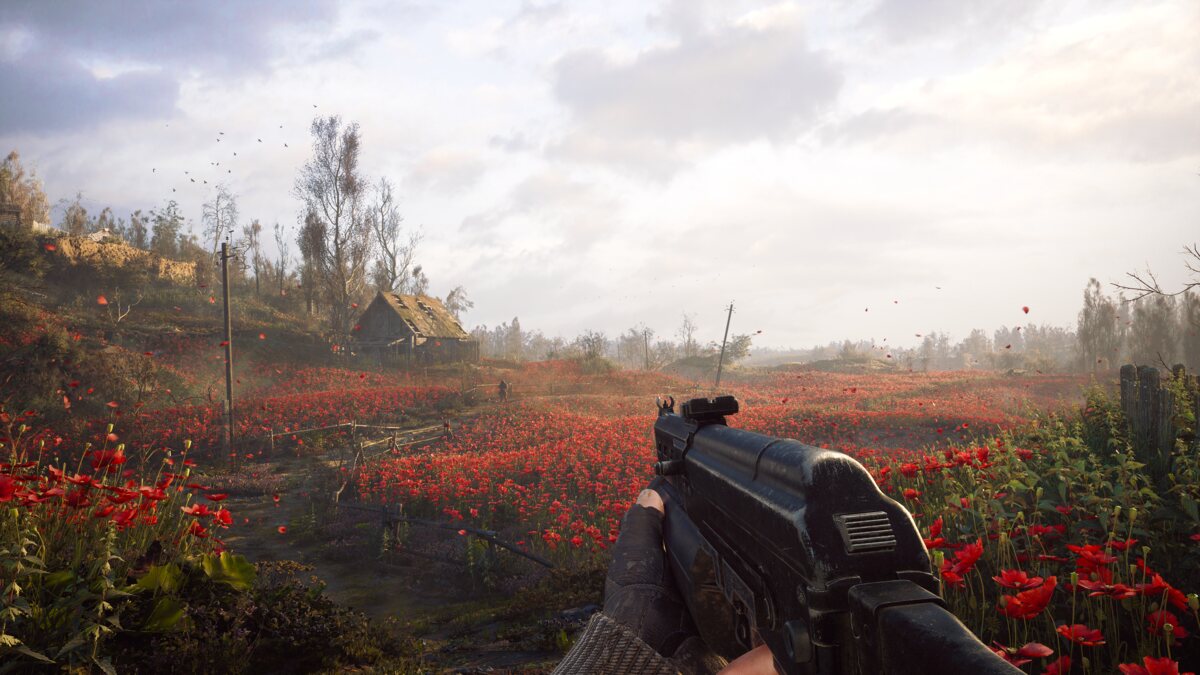 Stalker 2 trophies and achievements list: stalker in a poppy field.