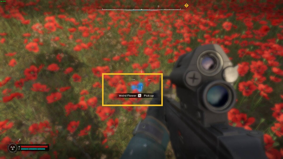 Stalker 2 Weird Flower: Poppy Field.