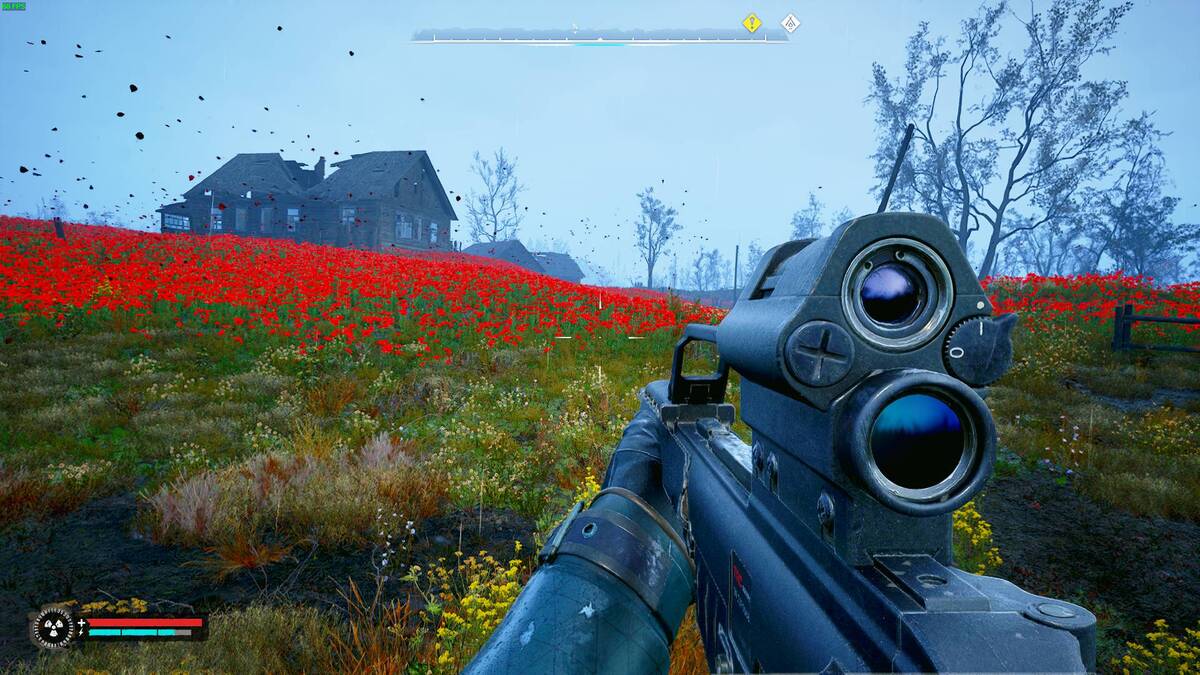 Stalker 2 Weird Flower: Poppy Field.