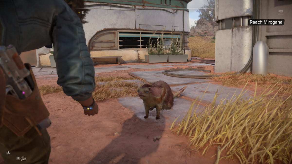 Image of Kay approaching to pet an animal on Toshara in Star Wars Outlaws.
