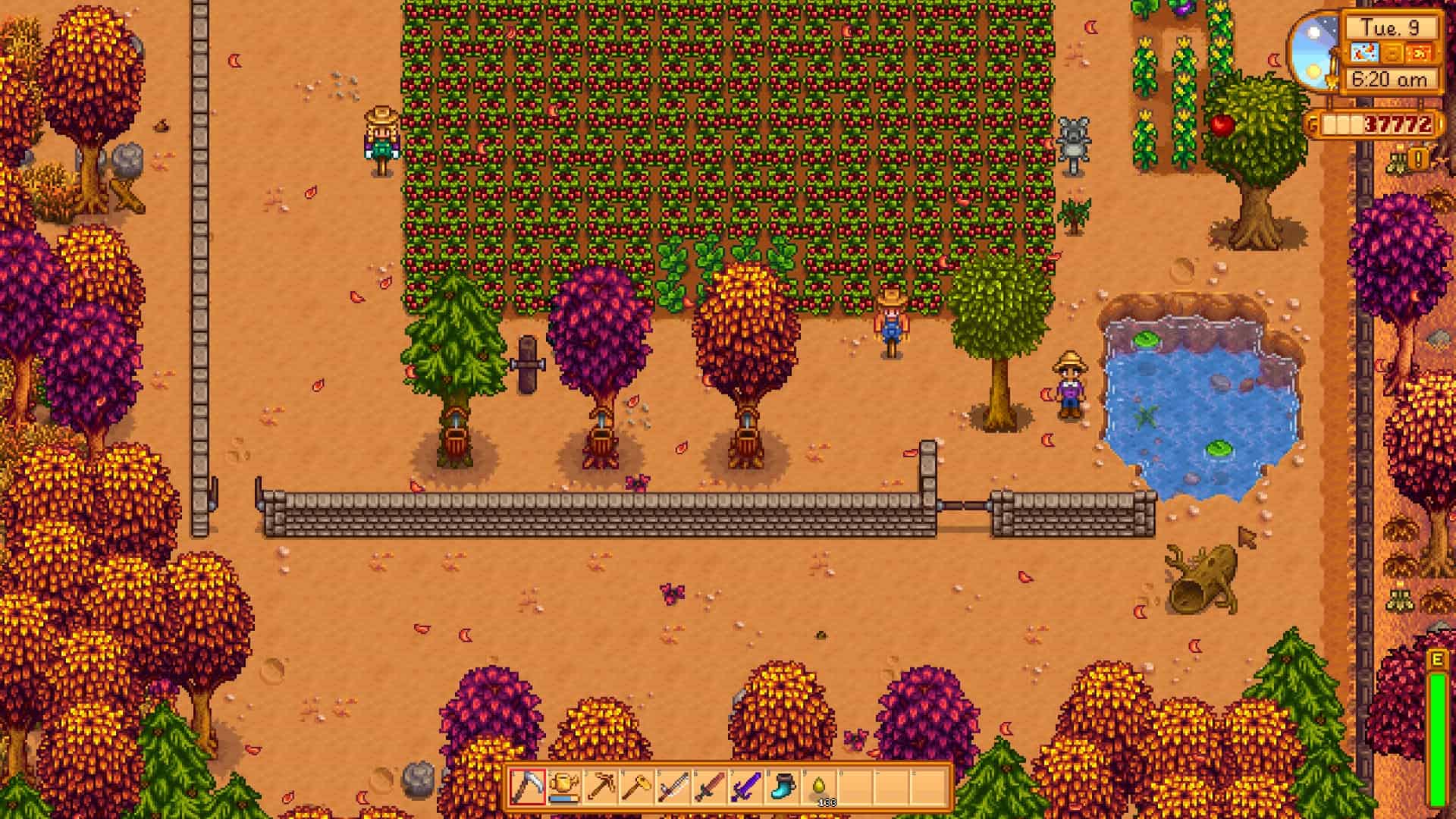 Stardew Valley cheats: A player standing on their farm with a field of tomatoes ready to harvest.