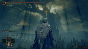 Elden Ring Shadow of the Erdtree Imbued Sword Key: Tarnished standing below the Erdtree.
