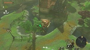 How to change paraglider fabric in Tears of the Kingdom: Link using paraglider