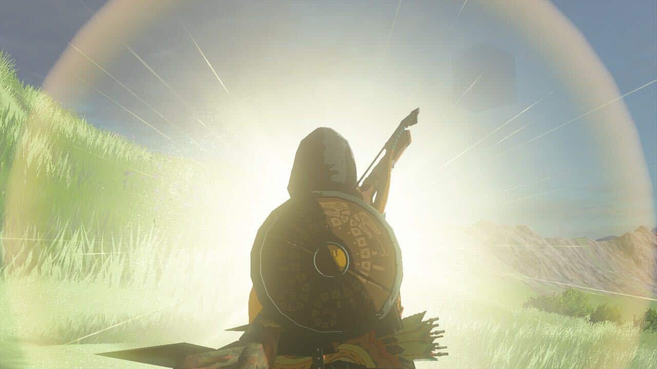 Tears of the Kingdom Sage's Will: Link facing a bright light in a cutscene.