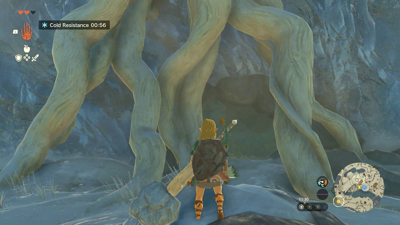 How to get to the third shrine in Tears of the Kingdom: Link stood by the exit of the cave, looking at the tree roots he needs to climb to reach the shrine.