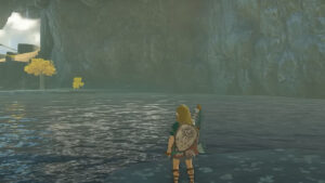 How to fish in Tears of the Kingdom: Link standing at the edge of water.