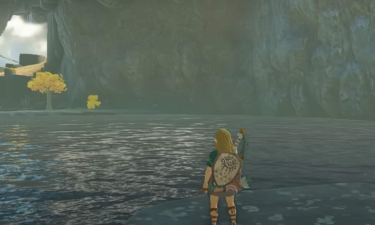 How to fish in Tears of the Kingdom: Link standing at the edge of water.