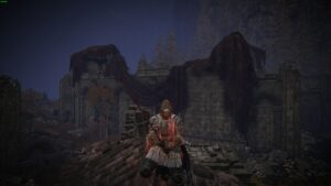 Elden Ring Shadow of the Erdtree best early weapons: Tarnished in the realm of shadow.