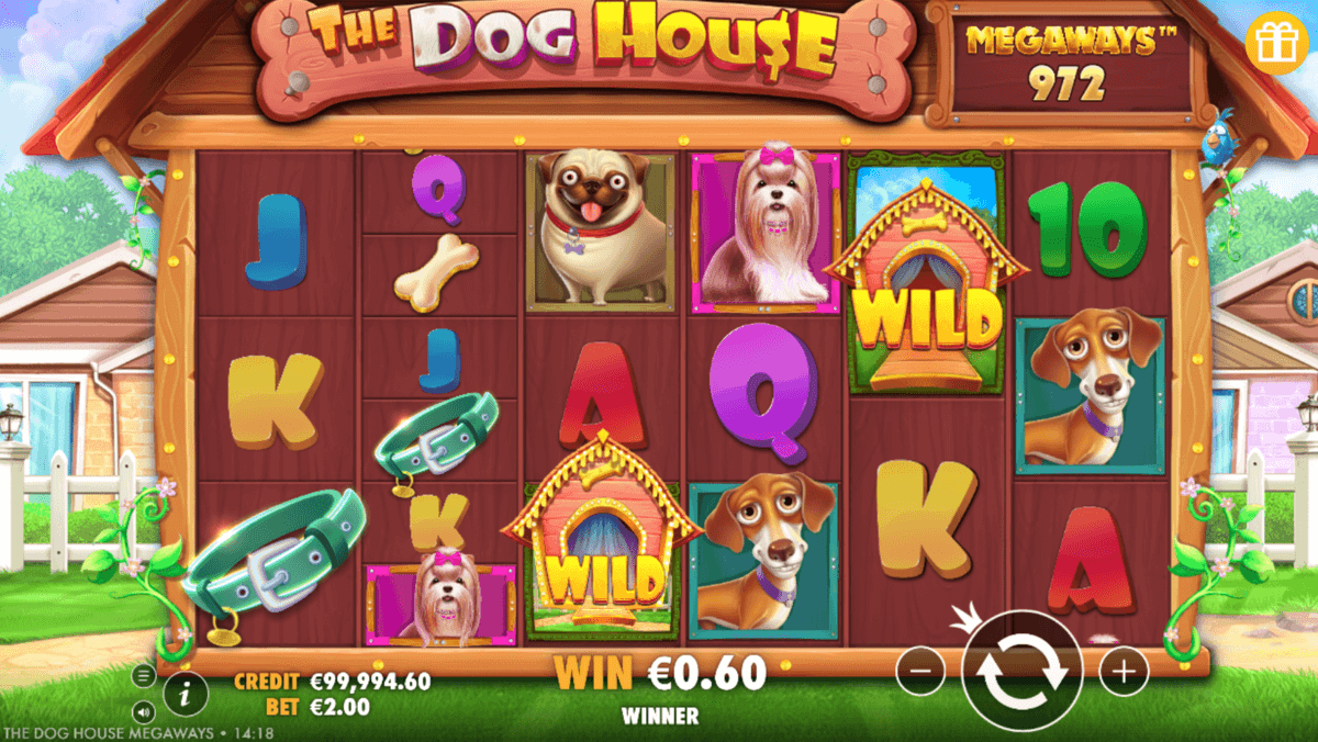 the dog house megaways