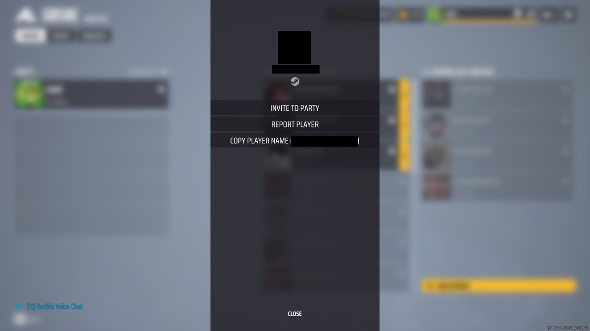 The Finals what Season 4 needs: A player's profile with personal info blacked-out in The Finals.