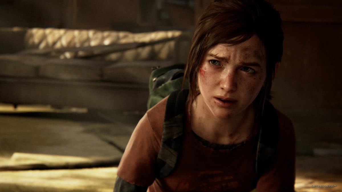 the last of us part 1 PC patch