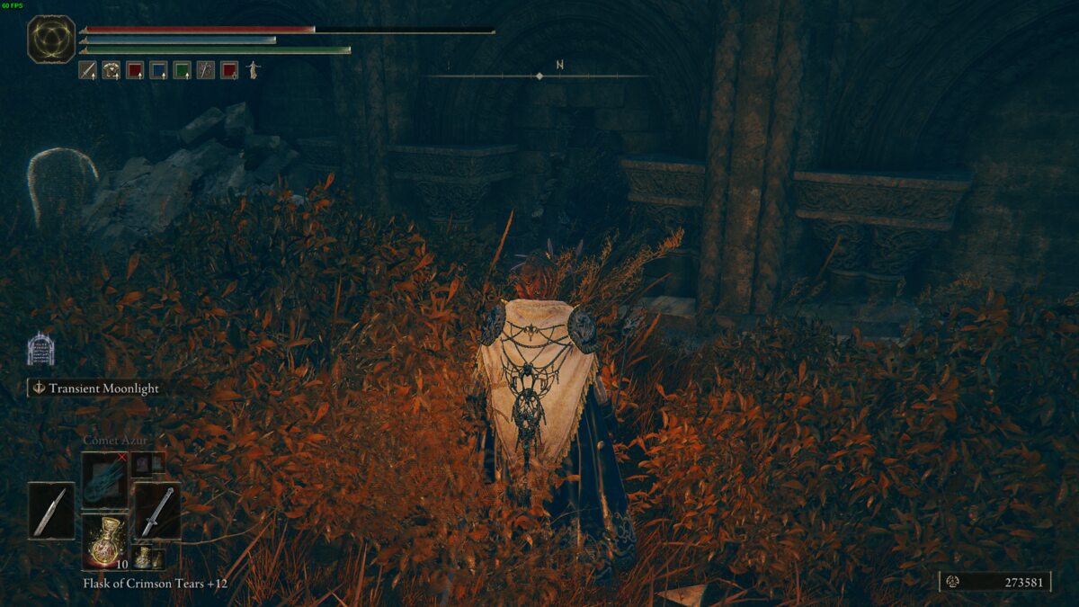 Elden Ring Shadow of the Erdtree best early weapons: Tarnished in the realm of shadow.