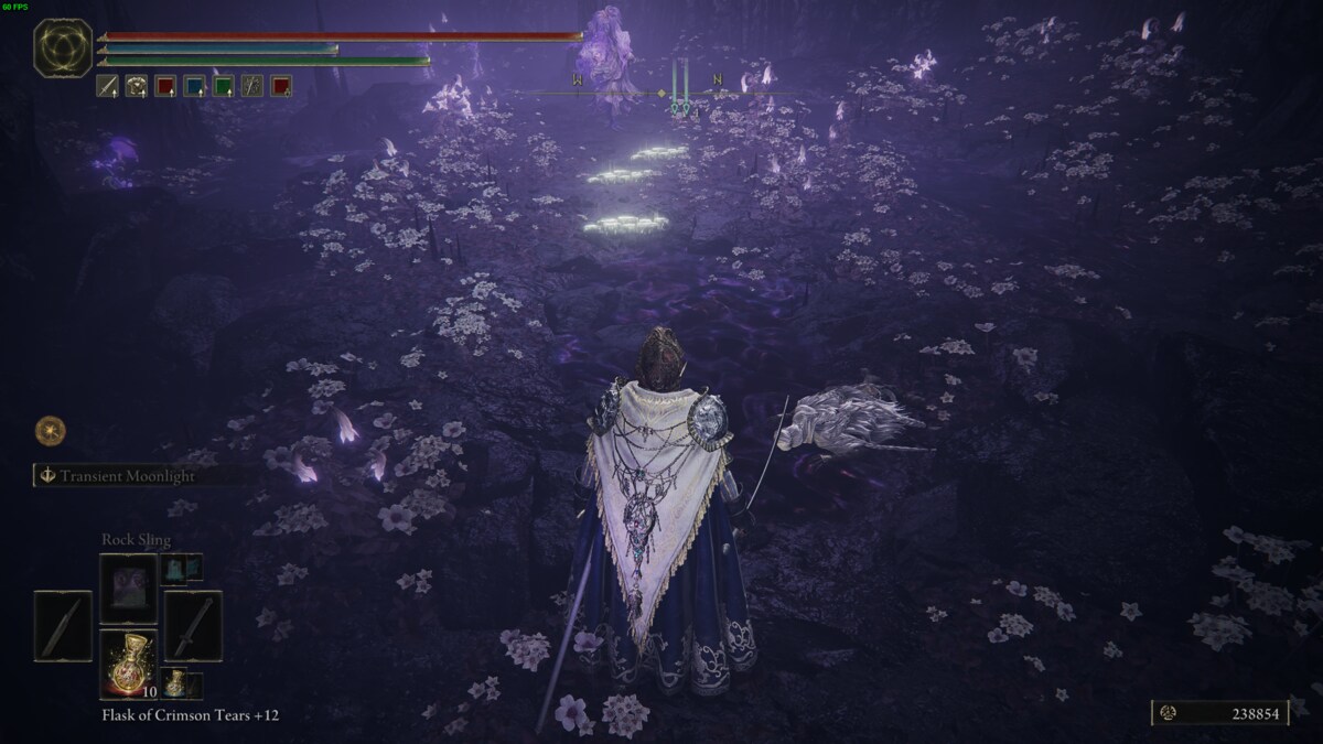 Elden Ring Shadow of the Erdtree Thiollier: Tarnished the Garden of Deep Purple.
