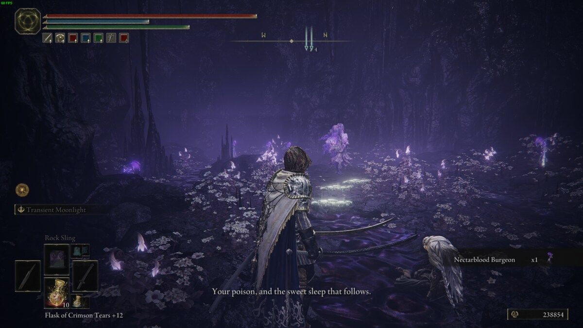 Elden Ring Shadow of the Erdtree Thiollier: Tarnished the Garden of Deep Purple.