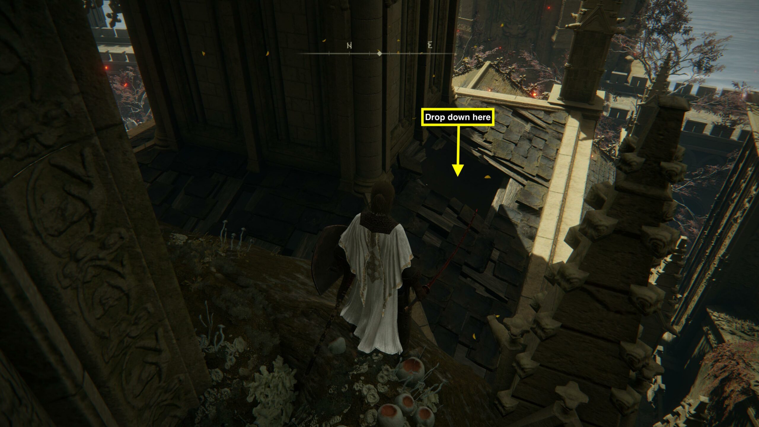 elden ring - a woman wearing brown and white looks at the broken roof of a church