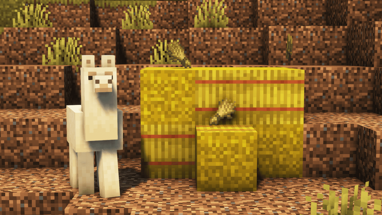 What Do Llamas Eat in Minecraft