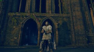 Elden Ring Shadow of the Erdtree Count Ymir: Tarnished at Cathedral of Manus Metyr.